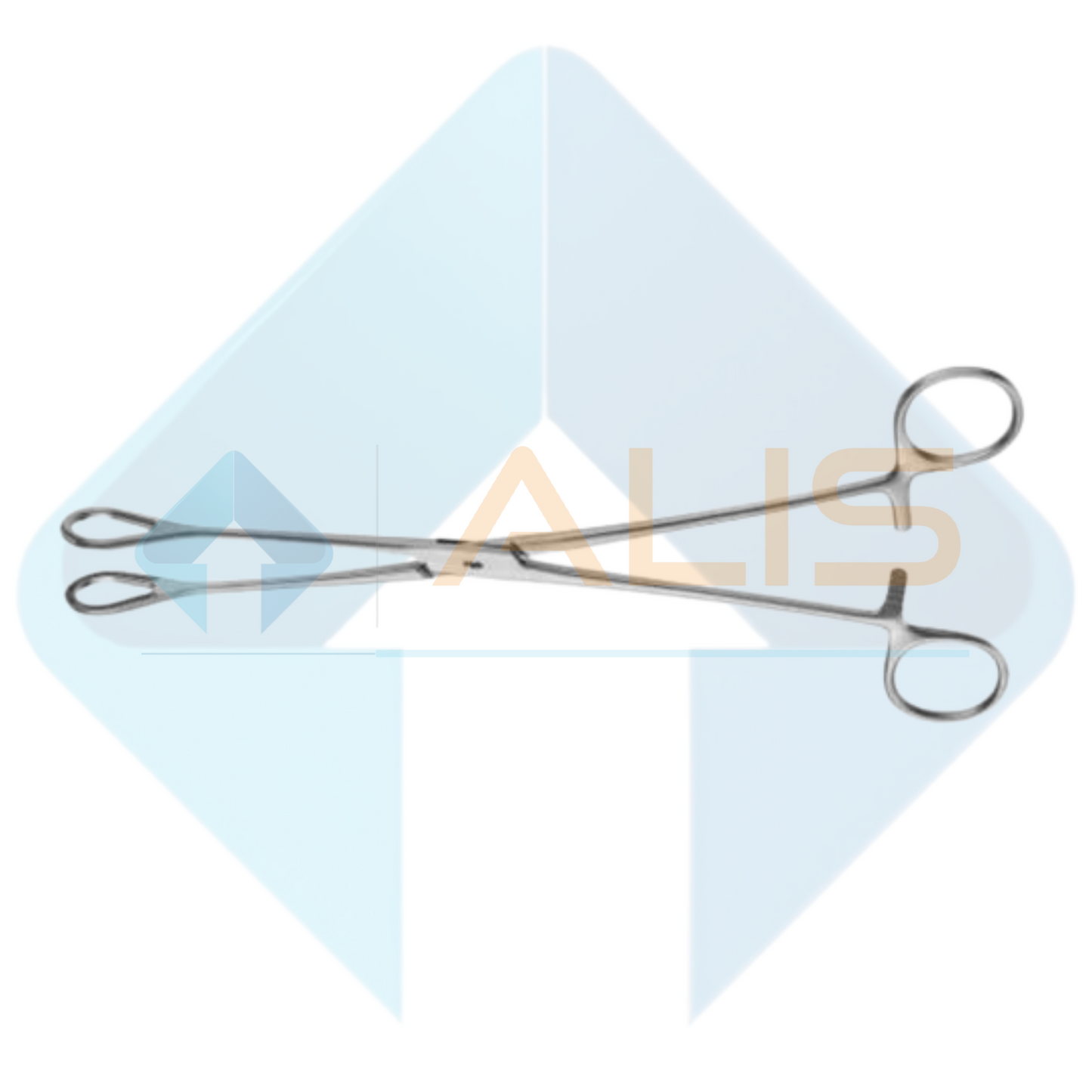 Ovum Forceps 10"