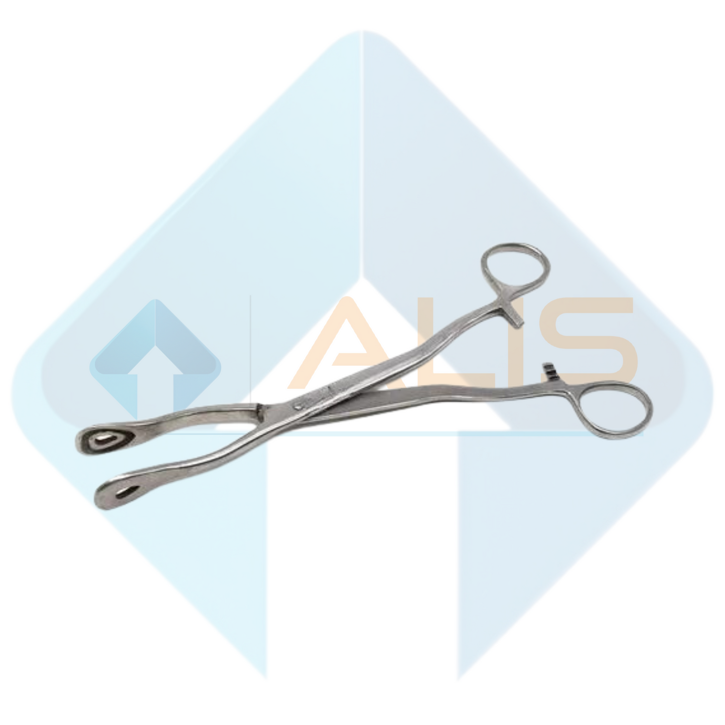 Piles Holding Forceps