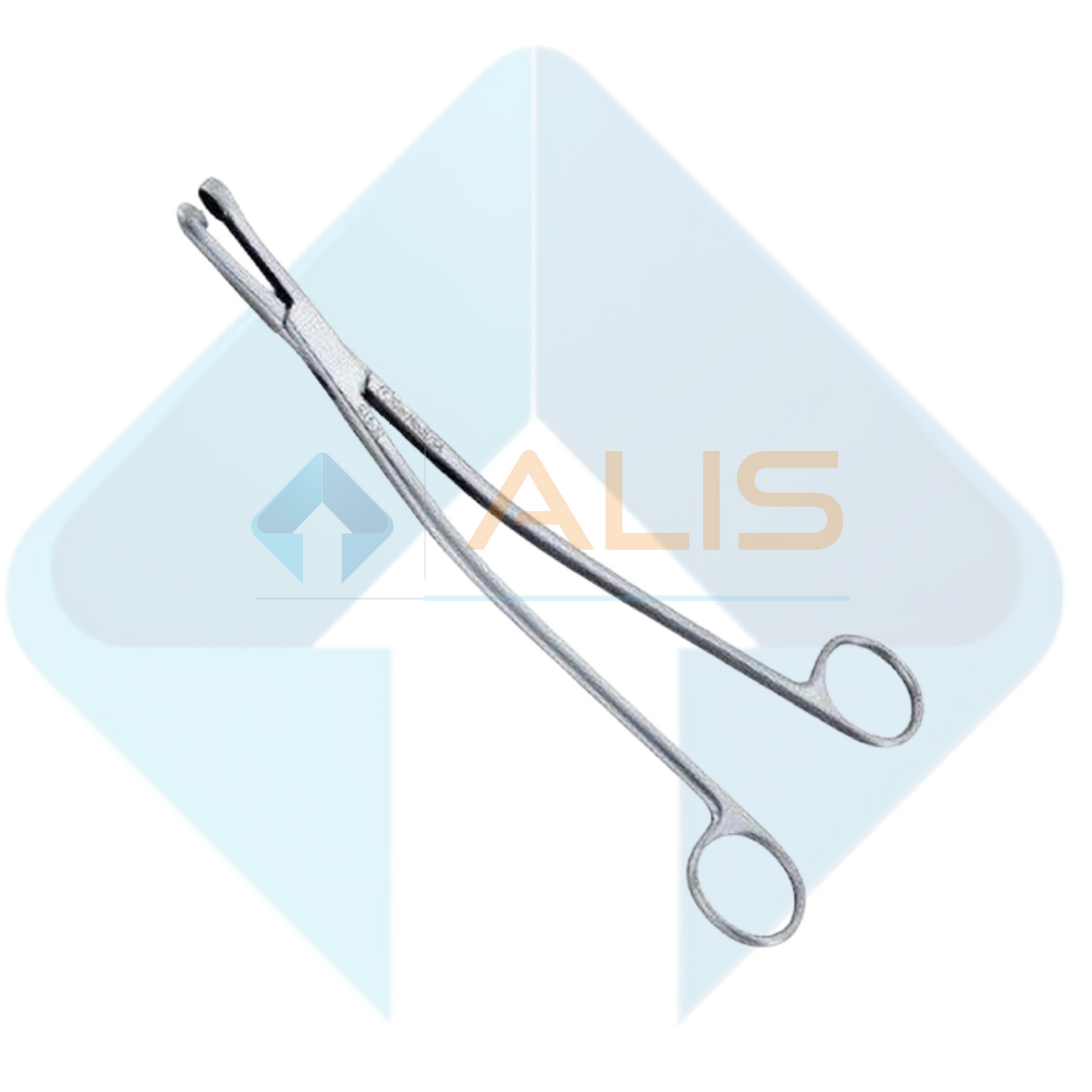 Tischler Morgan Biopsy Punch Forceps