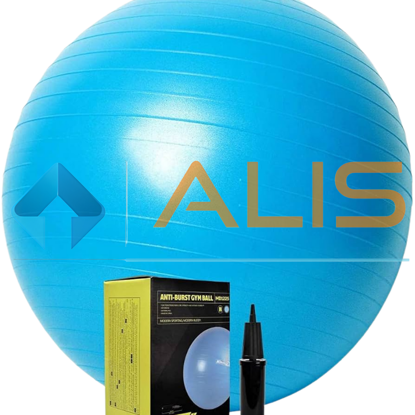 Gym Ball Swiss Ball Exercise Ball 55cm