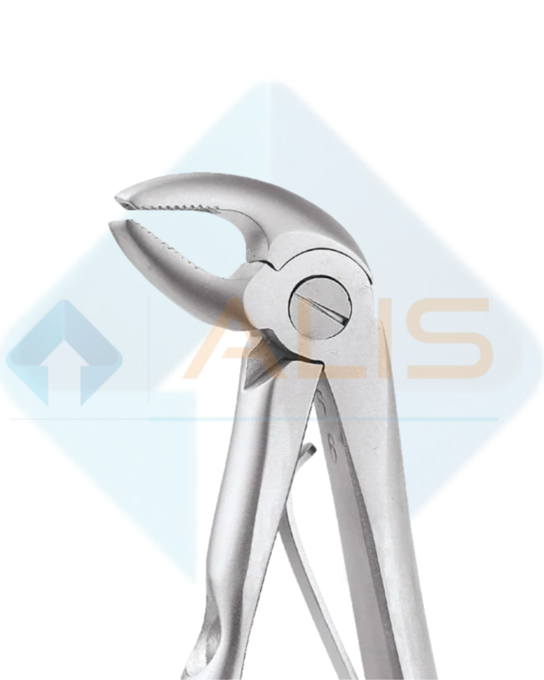 Lower Premolars Dental Extraction Forceps – Alis Professional